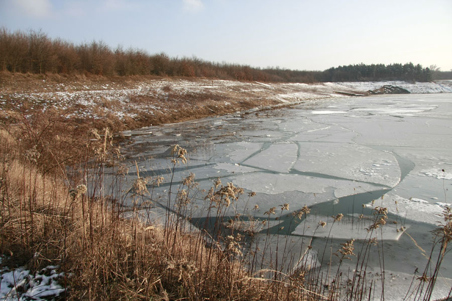 01.29. Földrengés28