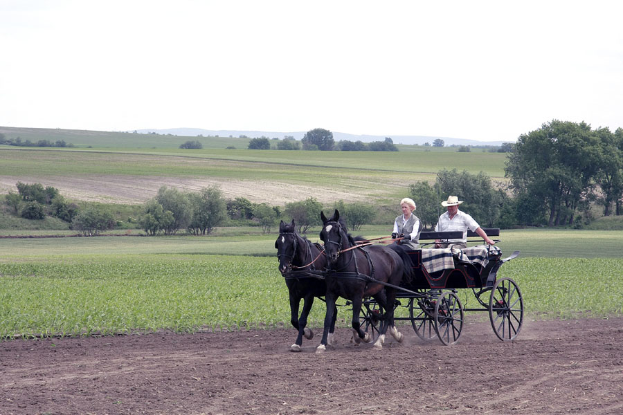 Szákszendi falunap14