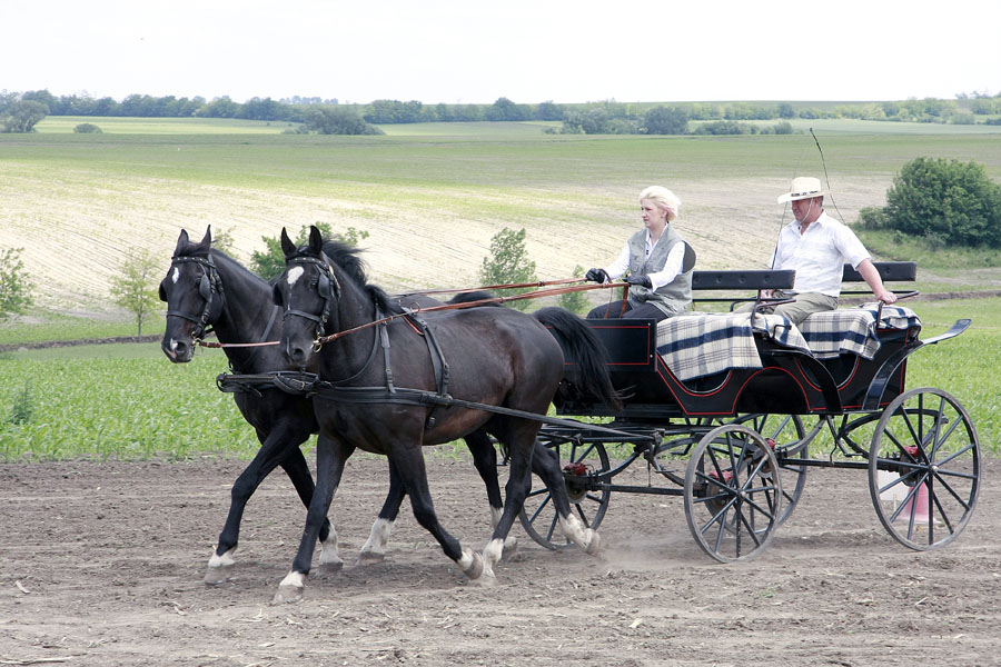 Szákszendi falunap15