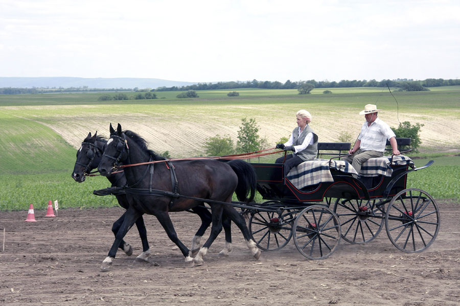 Szákszendi falunap16