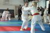 Megyei Judo Diákolimpia23